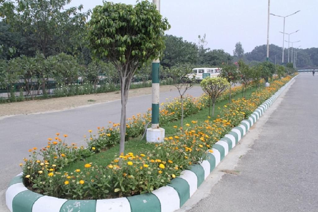 Jaypee University Anoopshahr Bulandshahr Campus photo 1